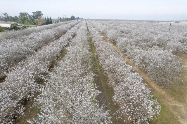 $3,308,000 | 0 Apn 029-190-025-000, Madera, CA 93637