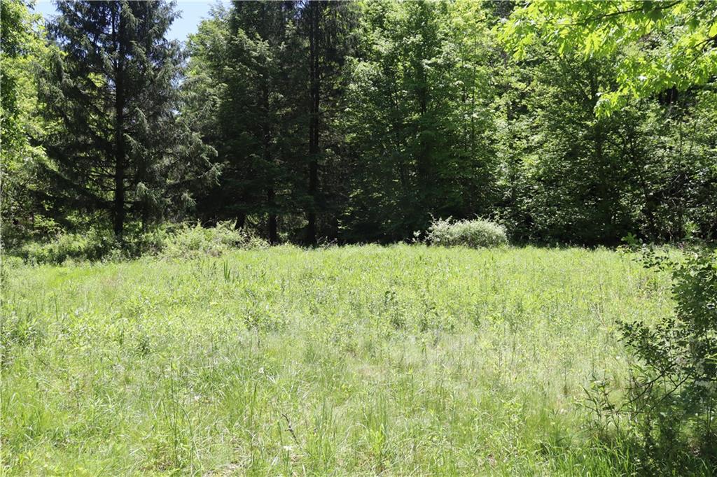 193 Creek Road Bolivar, PA 15923 - Photo 5 of 14