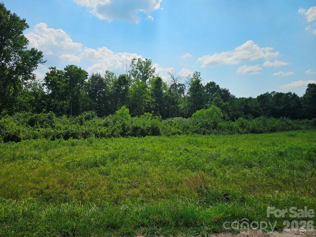 189 West Border Road Rock Hill, SC 29730 - Photo 2 of 6