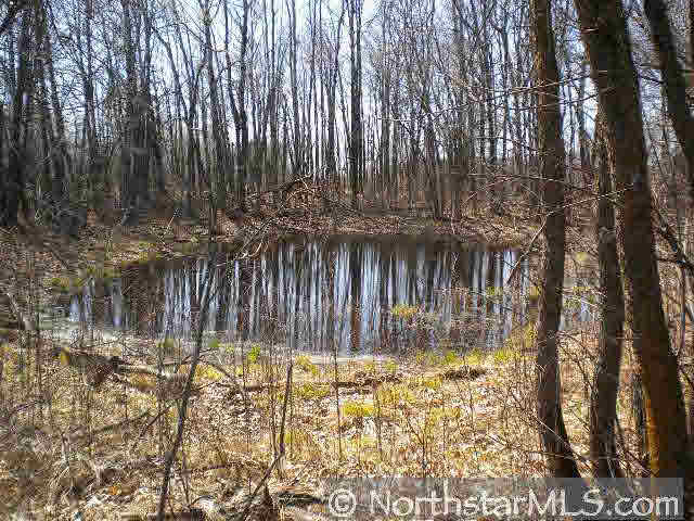 0 Root Road Bruno, MN 55712 - Photo 1 of 6 Gallery Image 1