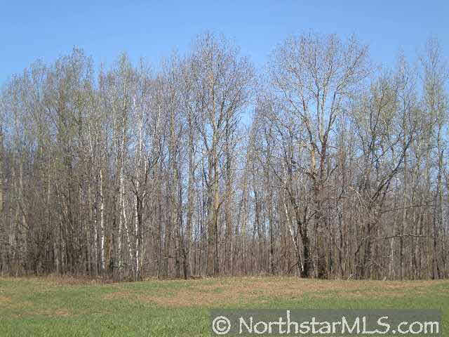 0 Root Road Bruno, MN 55712 - Photo 3 of 6 Gallery Image 3