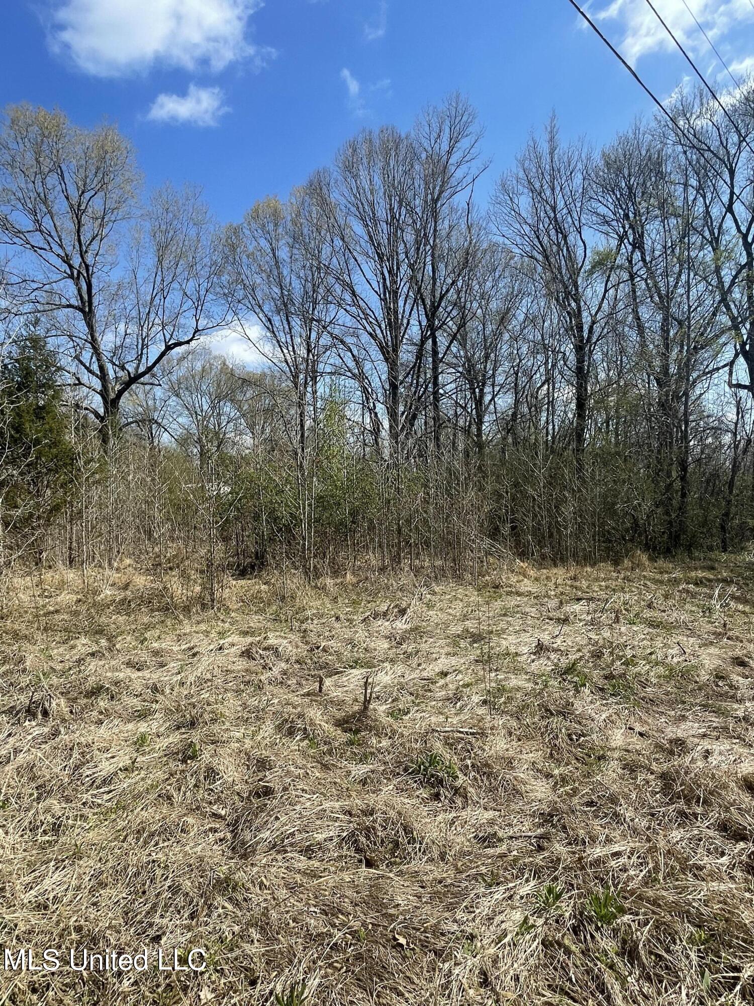 Strickland Road Byhalia, MS 38611 - Photo 3 of 5 view from lot to street