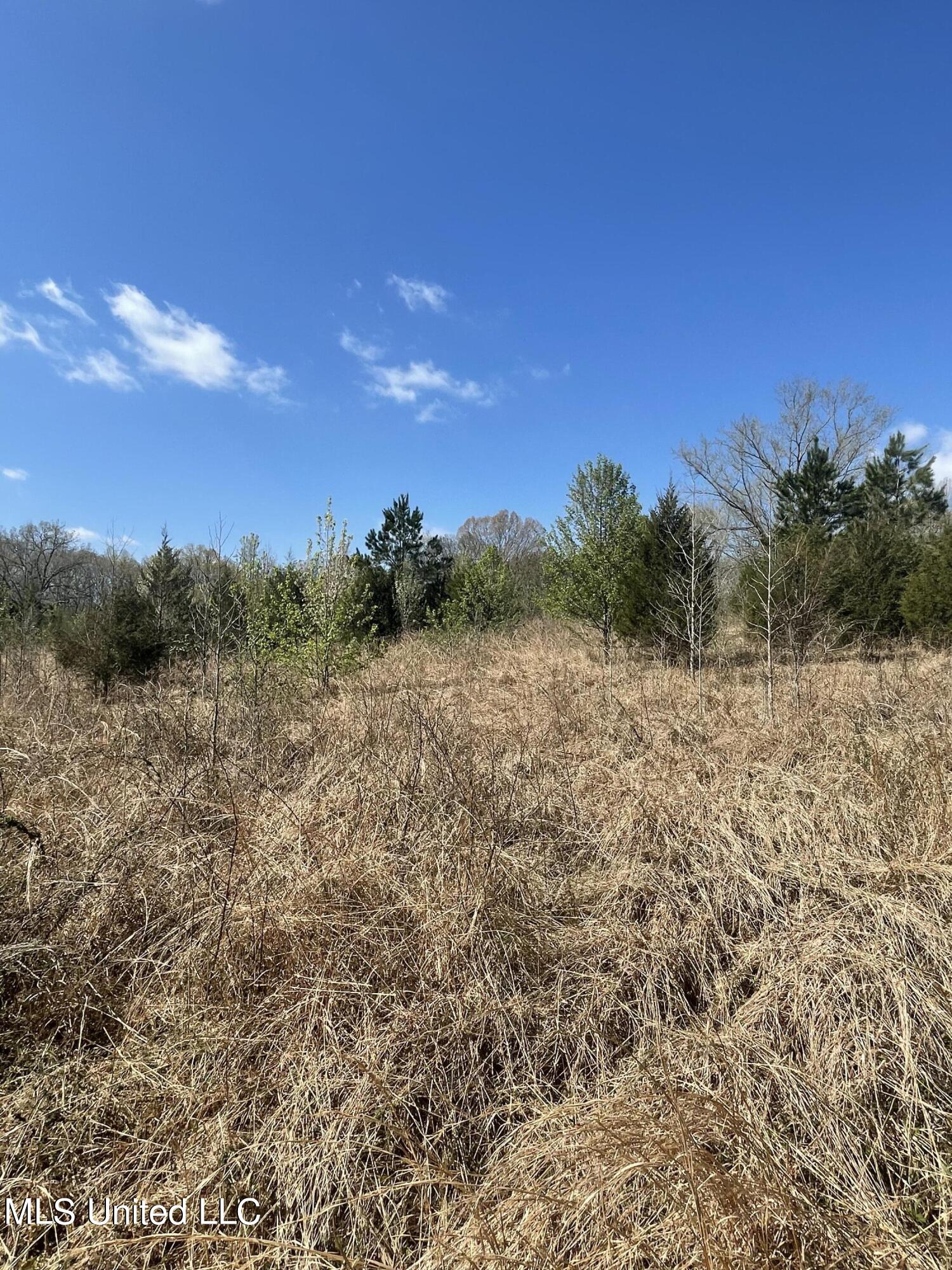 Strickland Road Byhalia, MS 38611 - Photo 4 of 5 IMG_2629