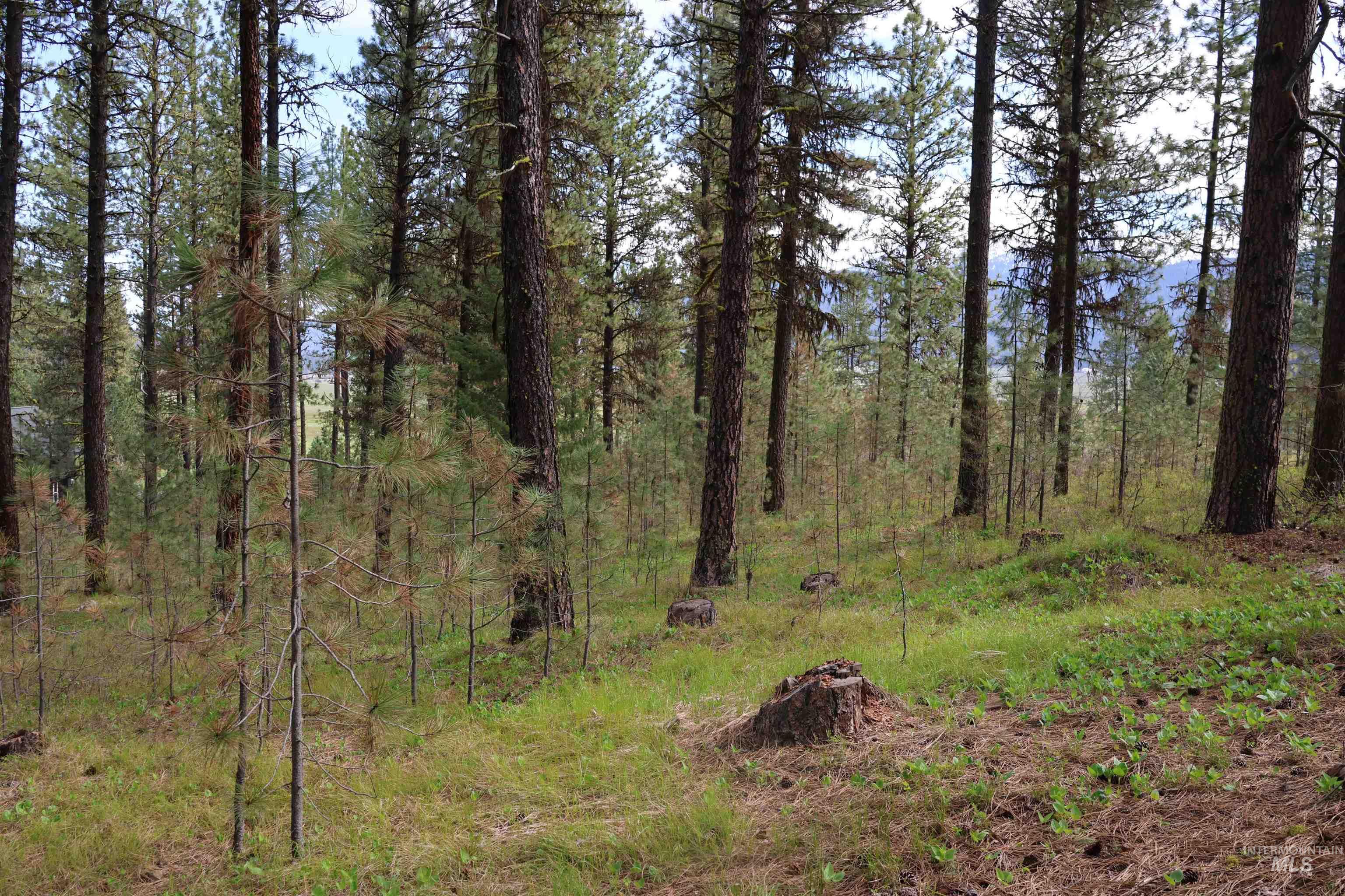 Lot 6 Hot Springs Road New Meadows, ID 83654 - Photo 3 of 11