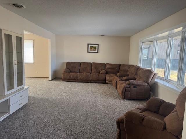 15717 Wermager Beach Road Lake Park, MN 56554 - Photo 12 of 25