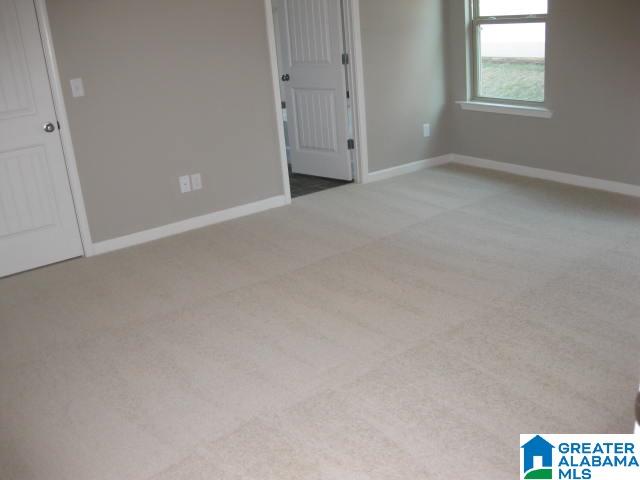 125 Sweetwater Way Springville, AL 35146 - Photo 13 of 21