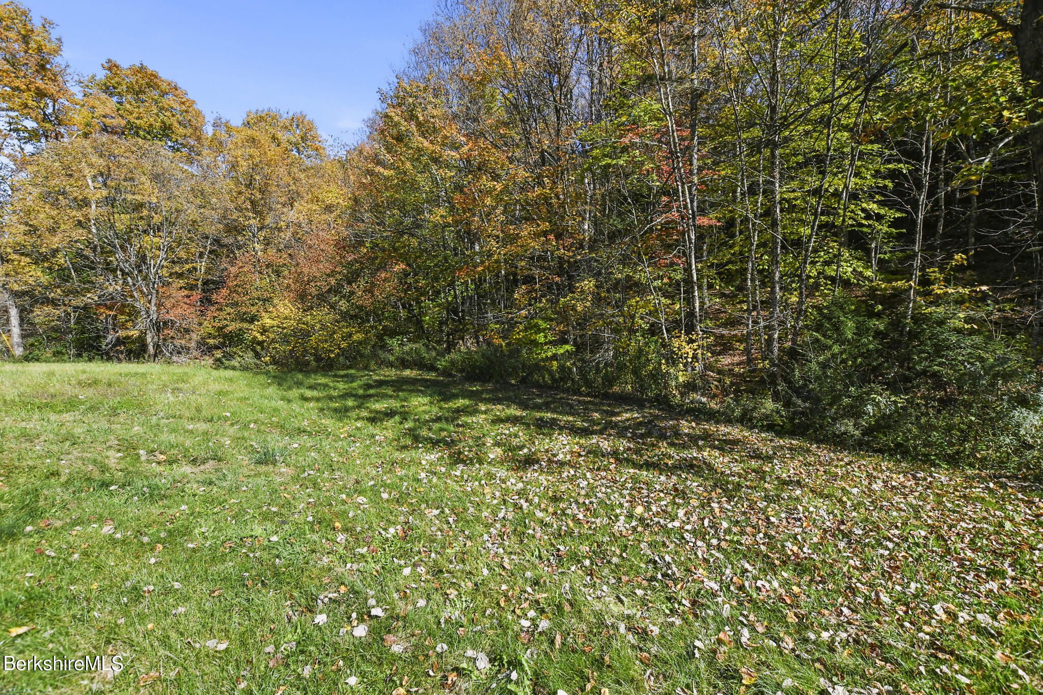 74 Old Main Road Savoy, MA 01256 - Photo 9 of 42 a view of a yard with a tree