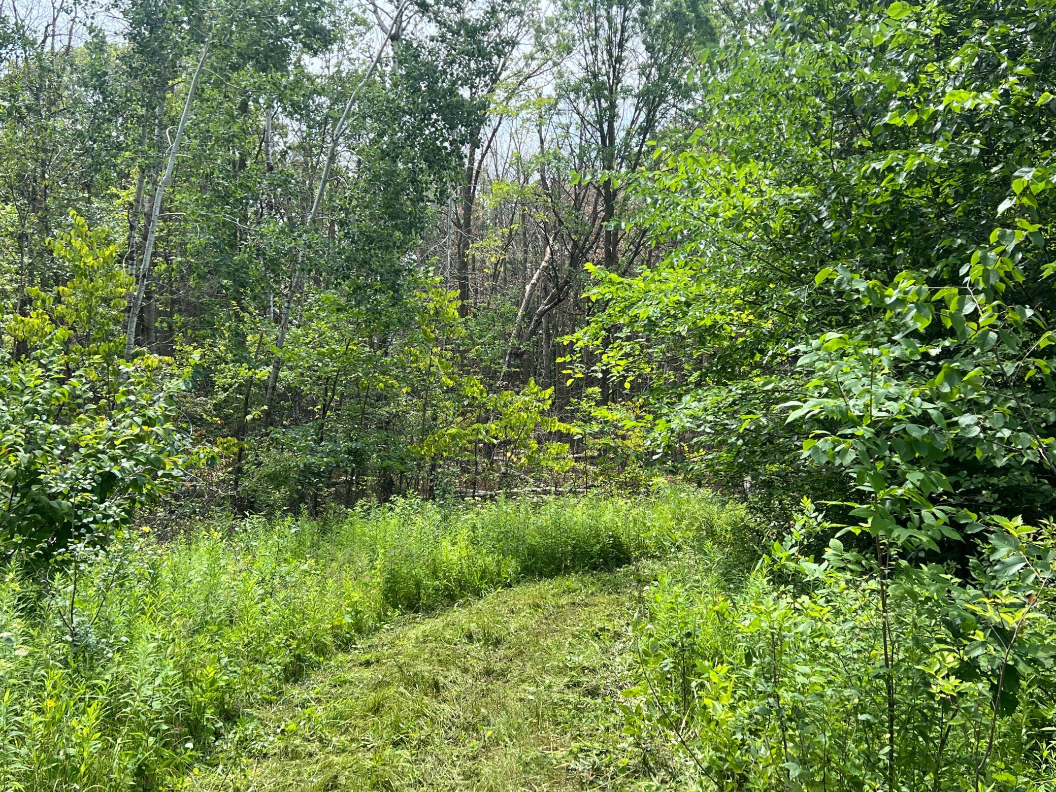 0 Cross Lake Road Pine City, MN 55063 - Photo 16 of 57