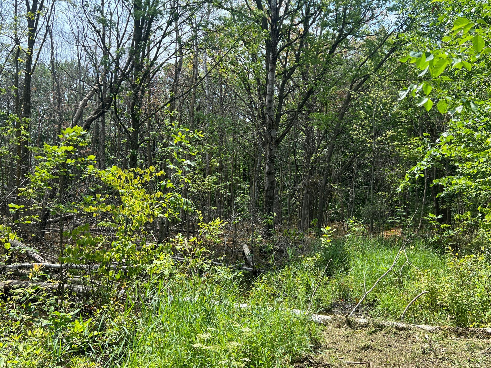 0 Cross Lake Road Pine City, MN 55063 - Photo 18 of 57