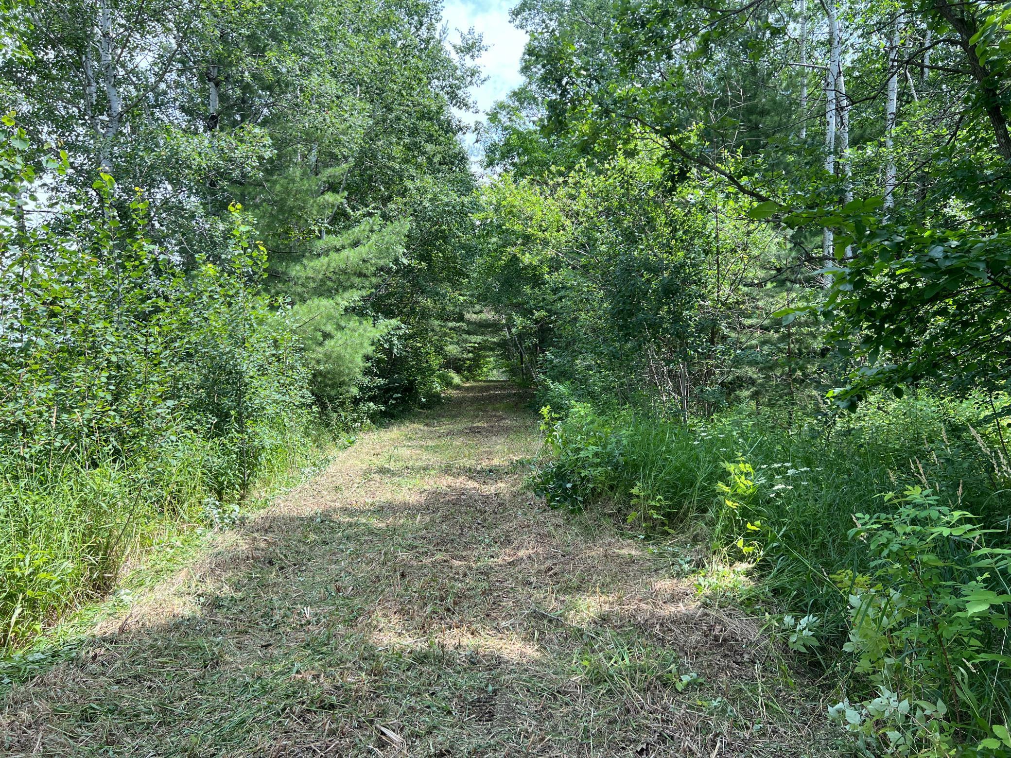 0 Cross Lake Road Pine City, MN 55063 - Photo 19 of 57