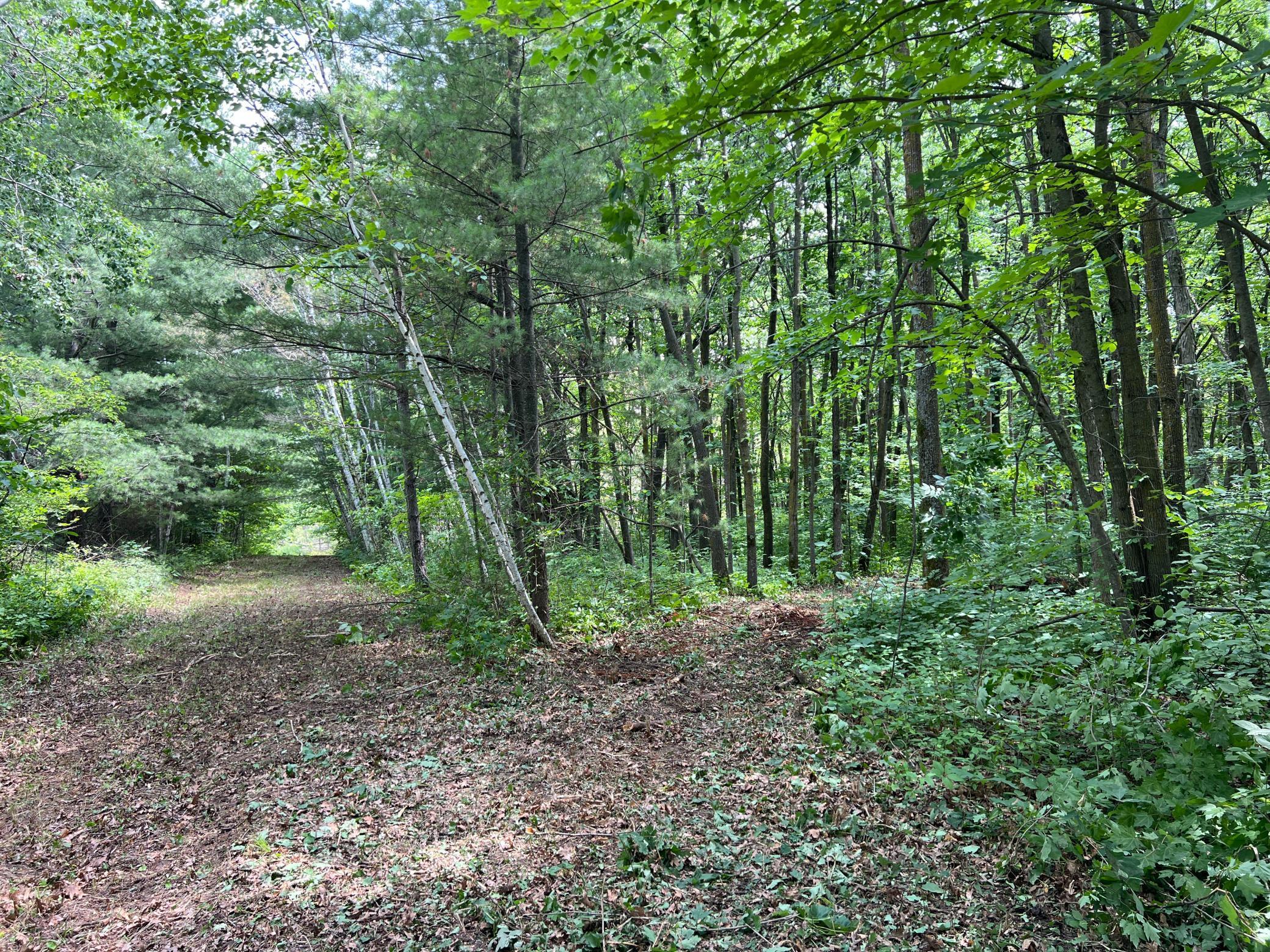 0 Cross Lake Road Pine City, MN 55063 - Photo 2 of 57