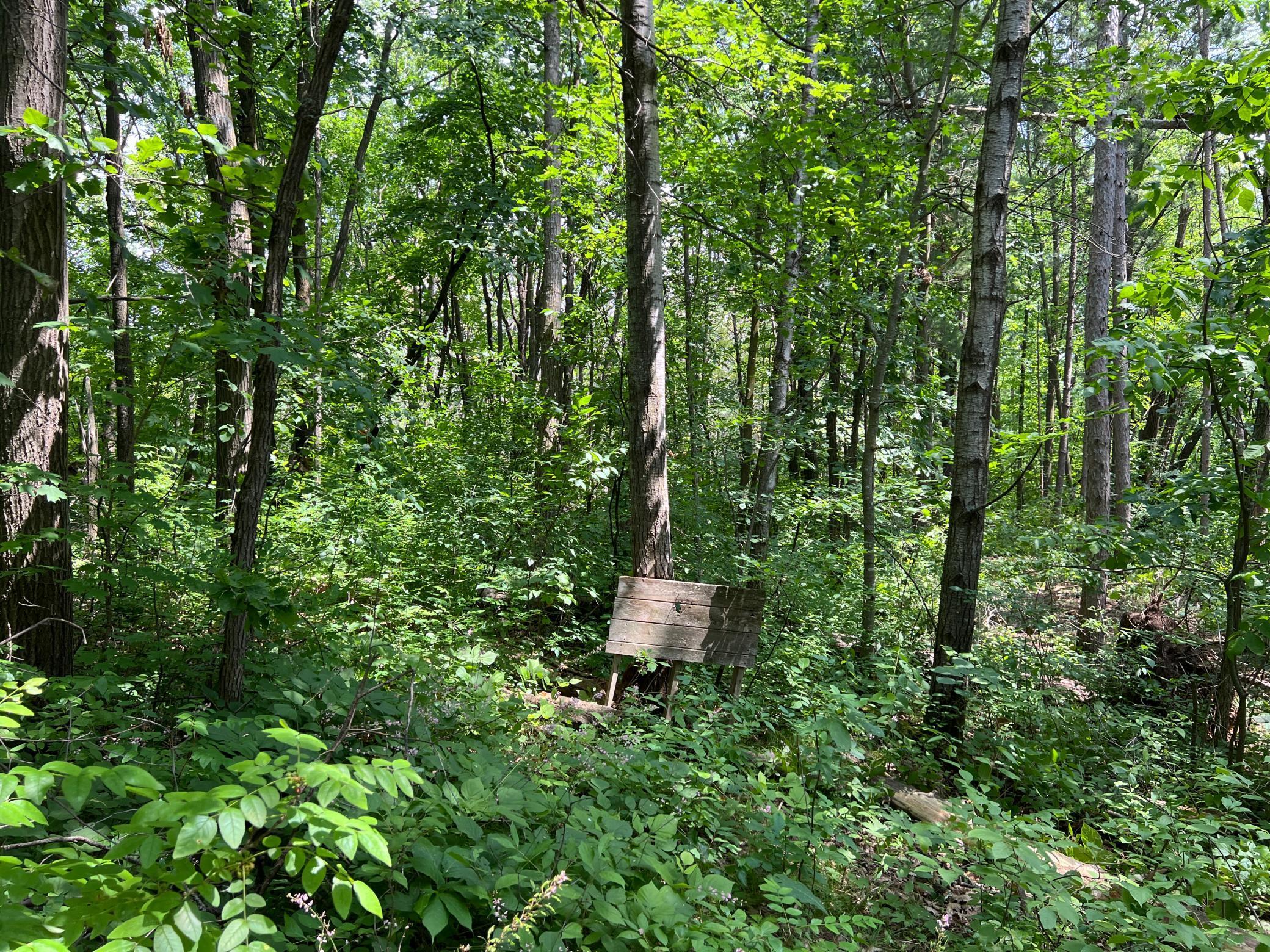 0 Cross Lake Road Pine City, MN 55063 - Photo 25 of 57