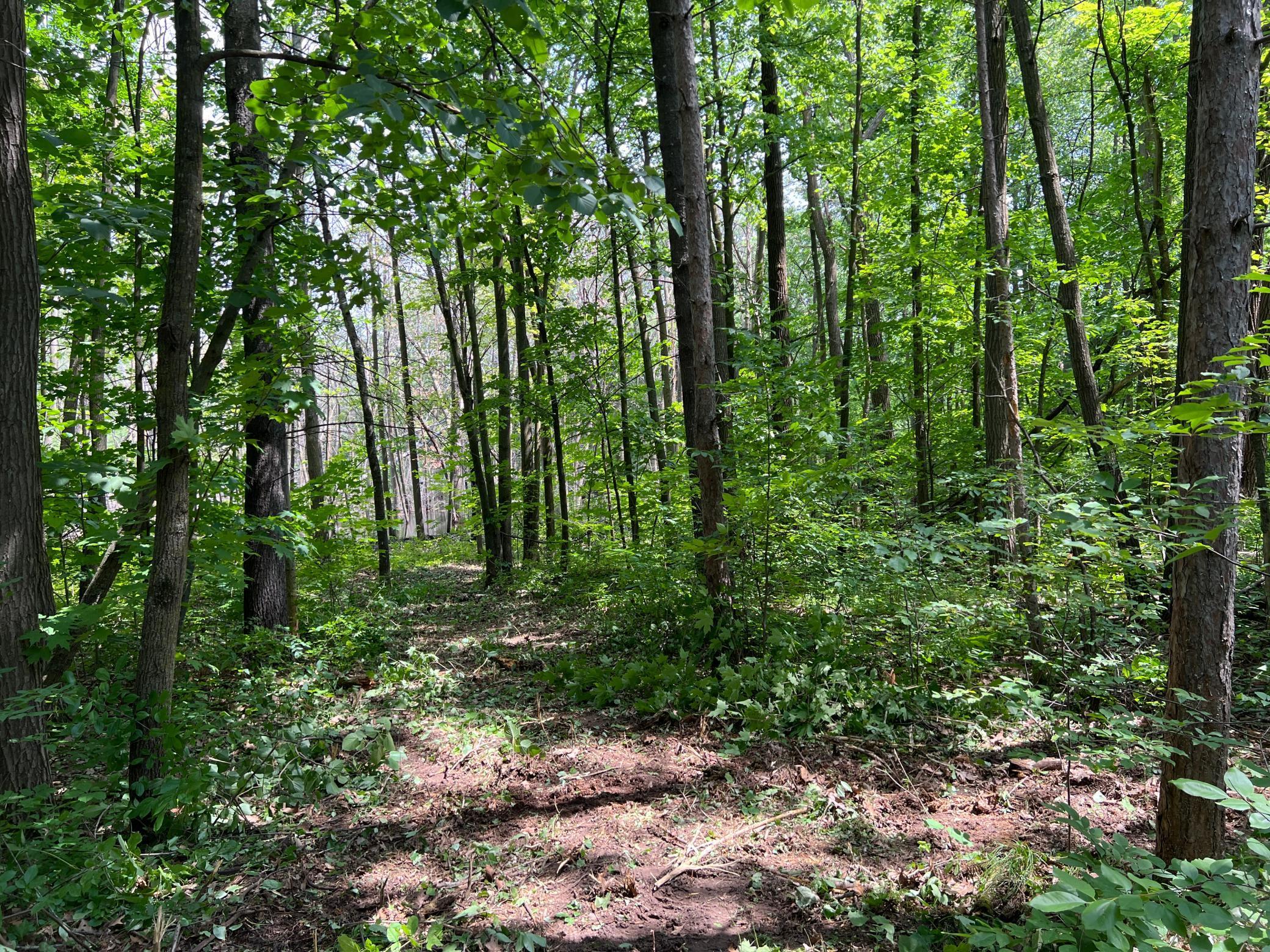 0 Cross Lake Road Pine City, MN 55063 - Photo 26 of 57