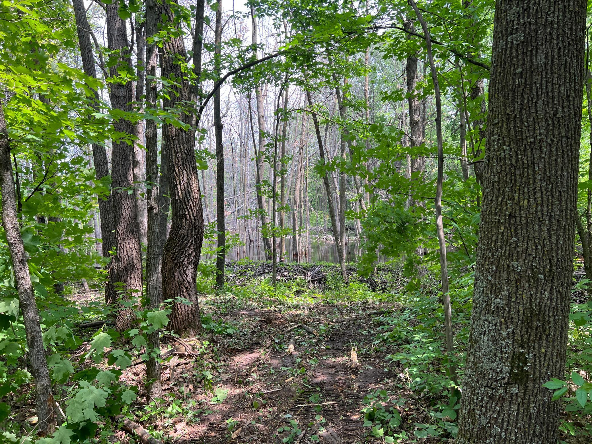 0 Cross Lake Road Pine City, MN 55063 - Photo 29 of 57