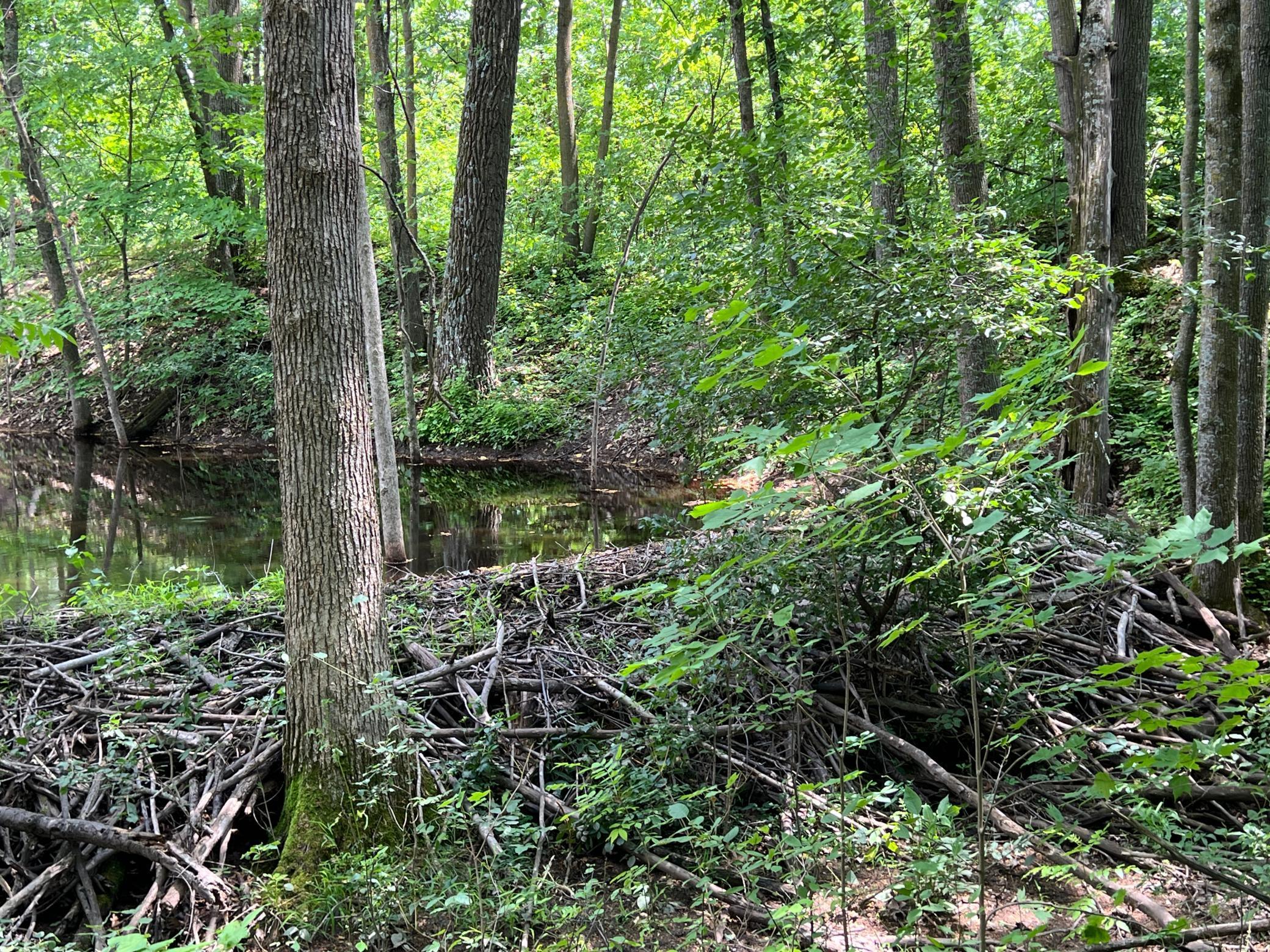 0 Cross Lake Road Pine City, MN 55063 - Photo 30 of 57