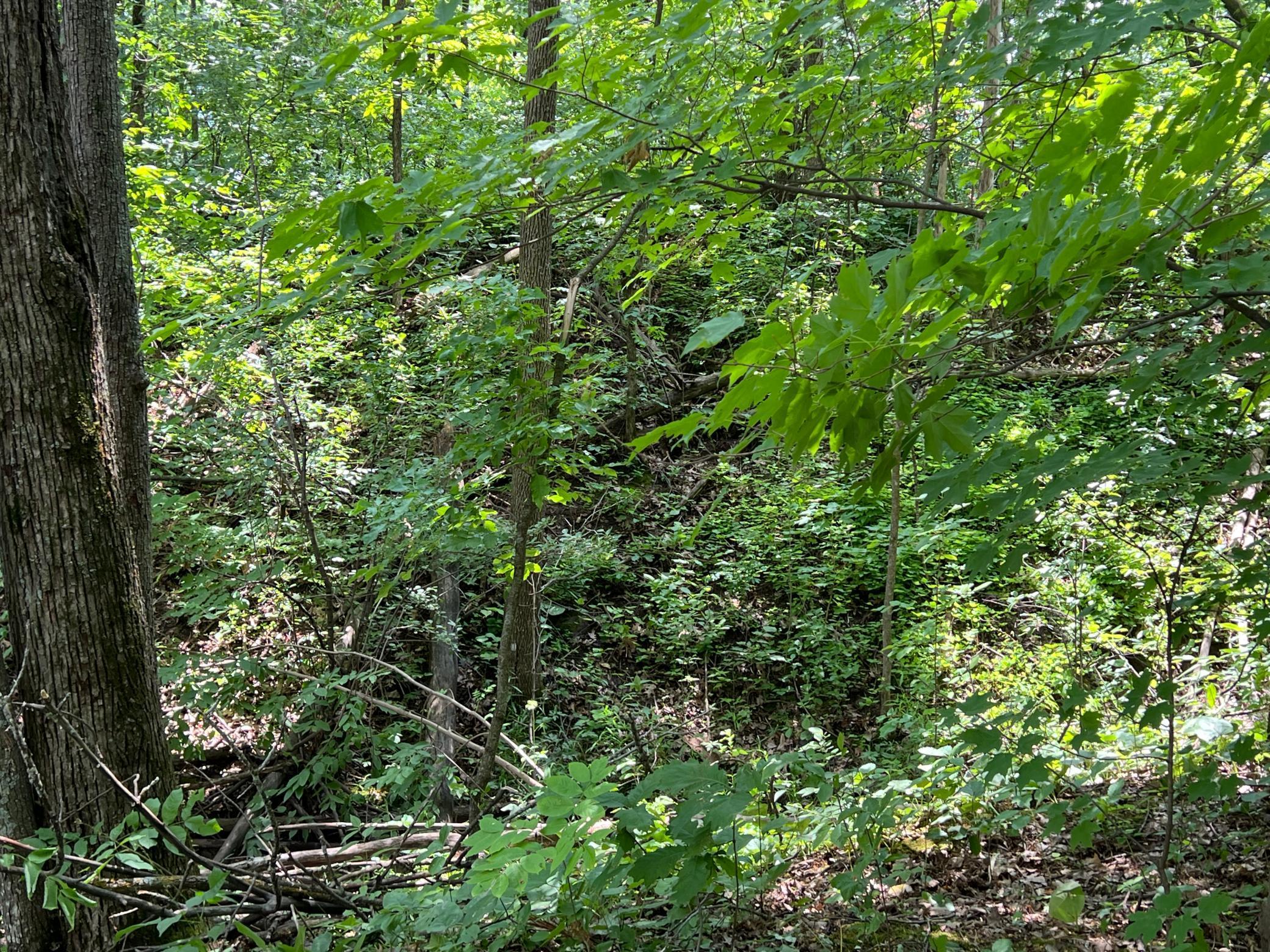 0 Cross Lake Road Pine City, MN 55063 - Photo 31 of 57