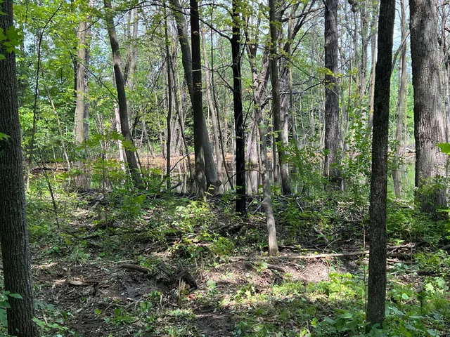 $179,000 | 0 Cross Lake Road, Pine City, MN 55063