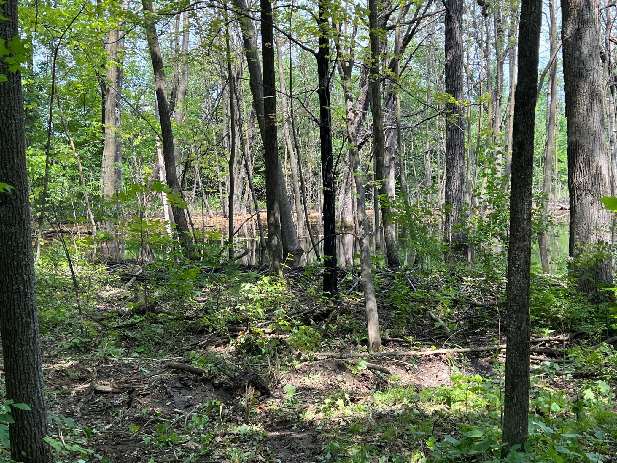 0 Cross Lake Road Pine City, MN 55063 - Photo 32 of 57