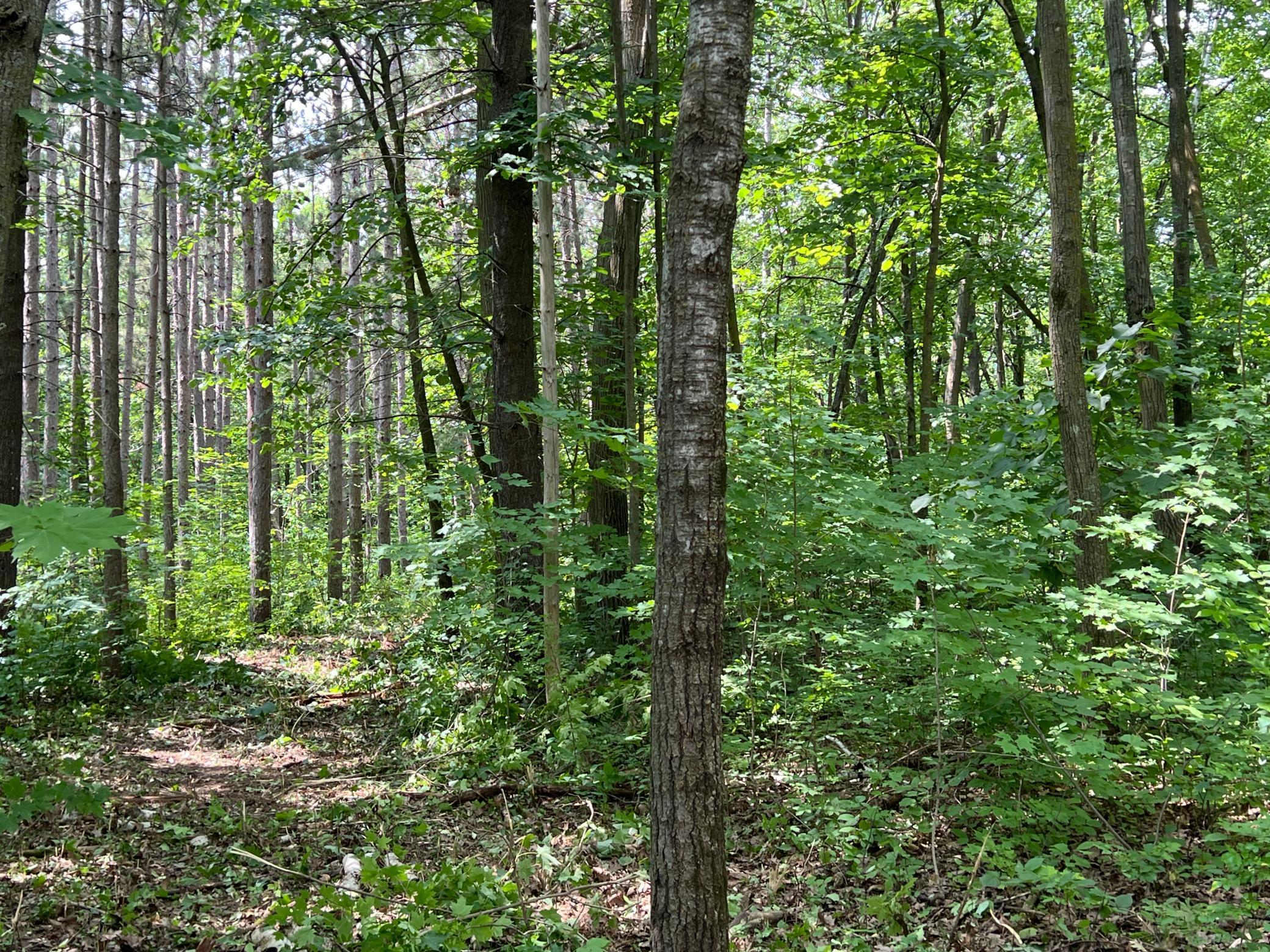 0 Cross Lake Road Pine City, MN 55063 - Photo 33 of 57