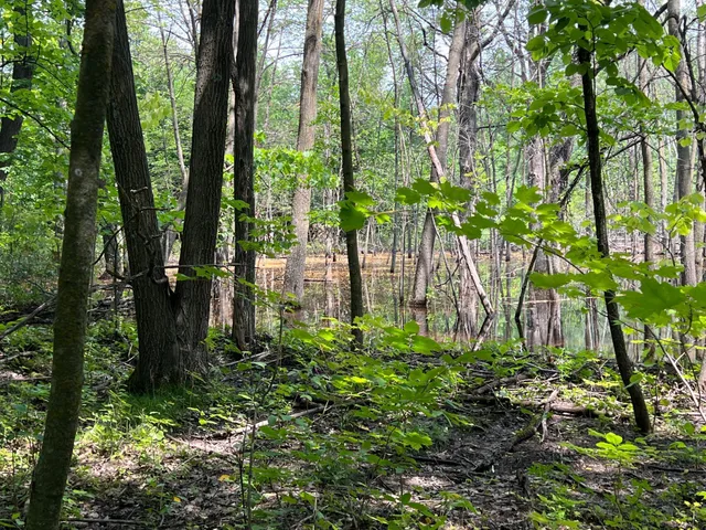 $179,000 | 0 Cross Lake Road, Pine City, MN 55063