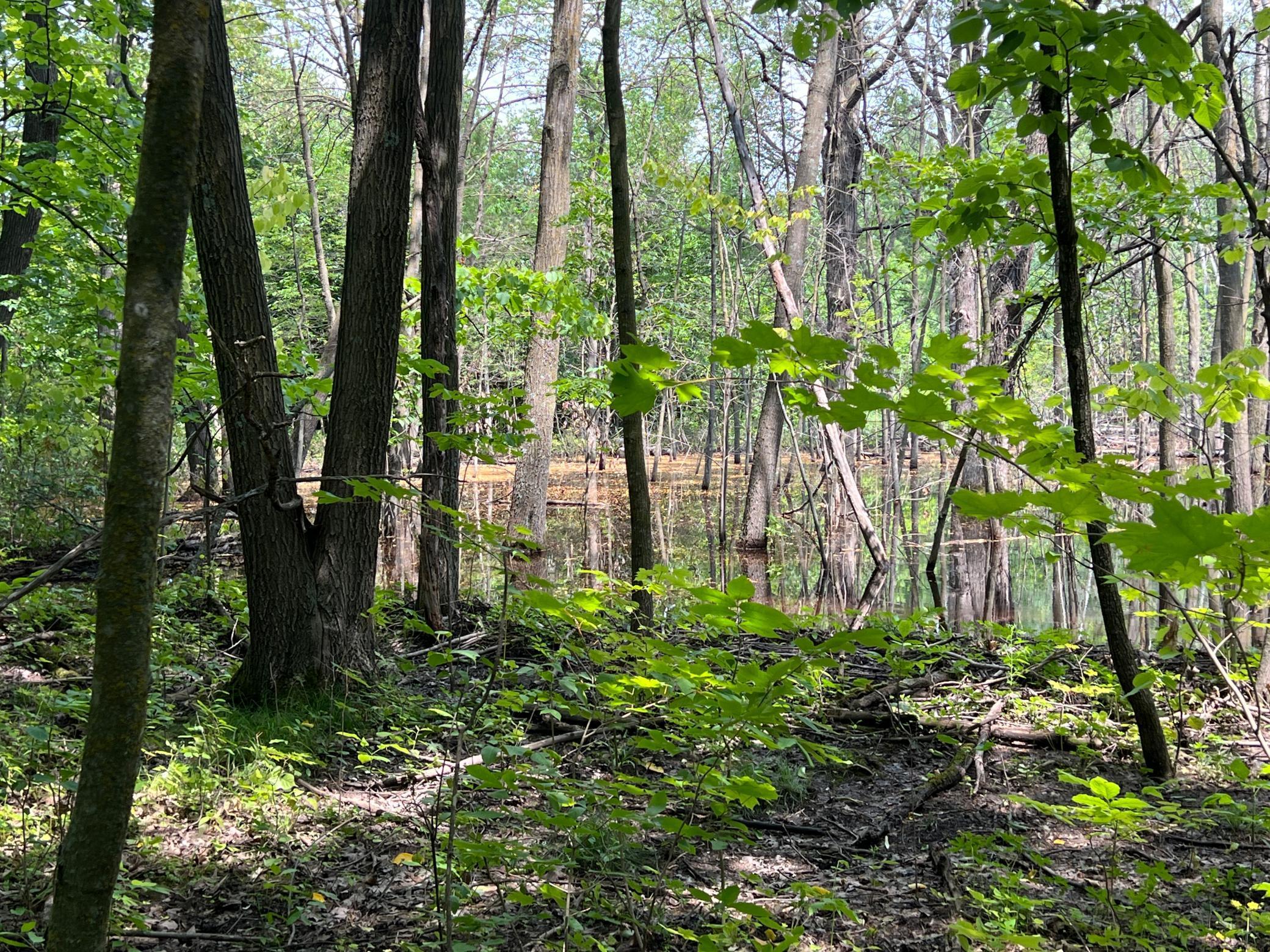 0 Cross Lake Road Pine City, MN 55063 - Photo 34 of 57