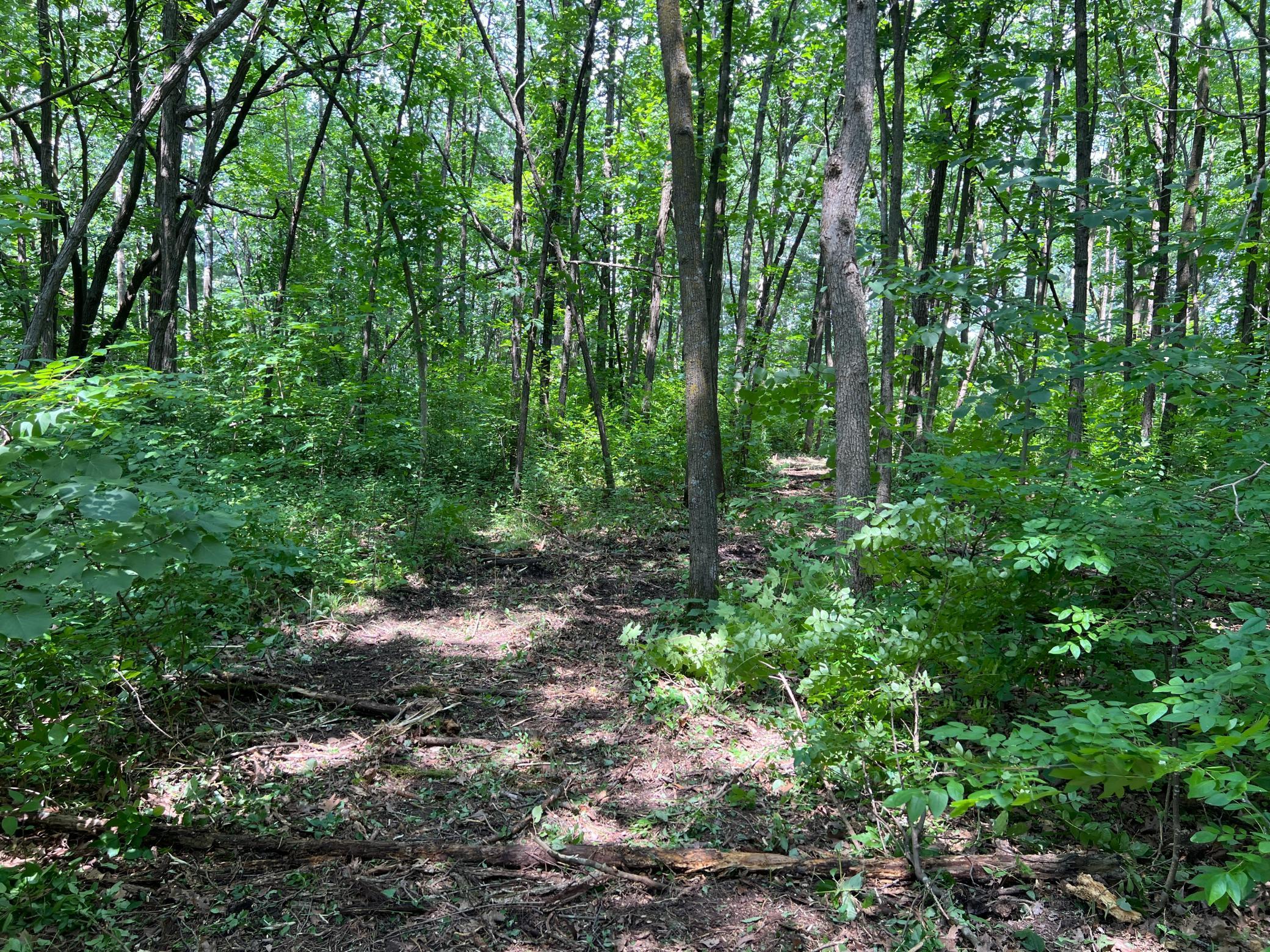 0 Cross Lake Road Pine City, MN 55063 - Photo 38 of 57