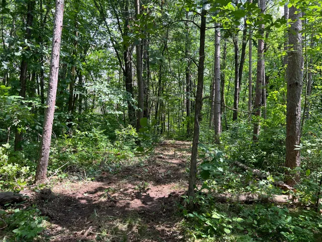 $179,000 | 0 Cross Lake Road, Pine City, MN 55063