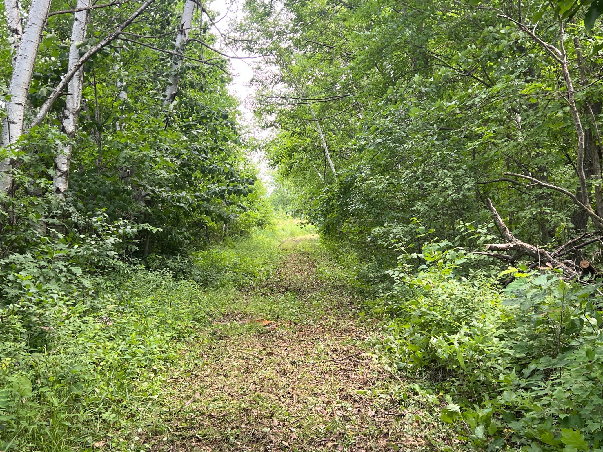 0 Cross Lake Road Pine City, MN 55063 - Photo 6 of 57