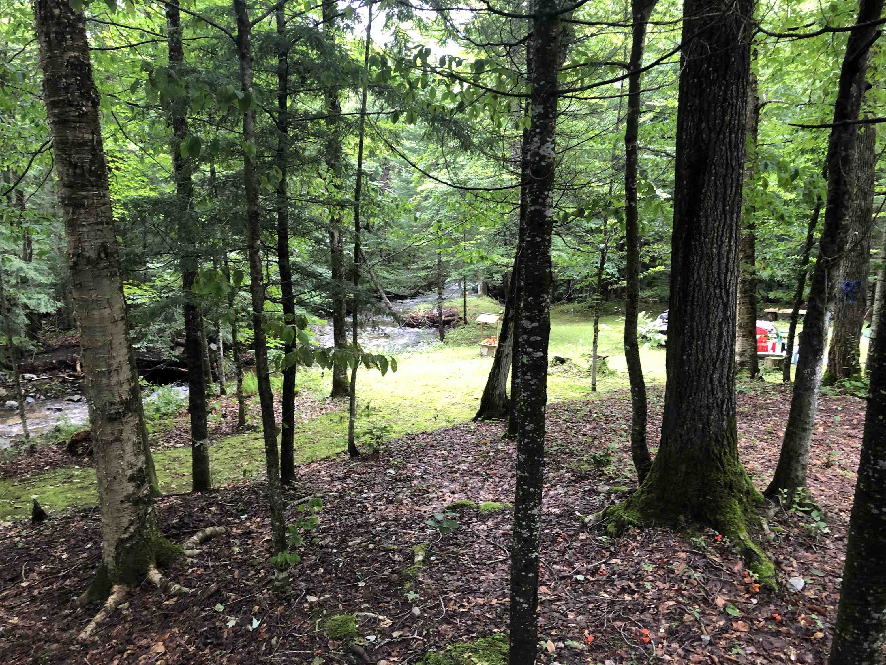 2131 Carter Road Lowell, VT 05847 - Photo 18 of 27