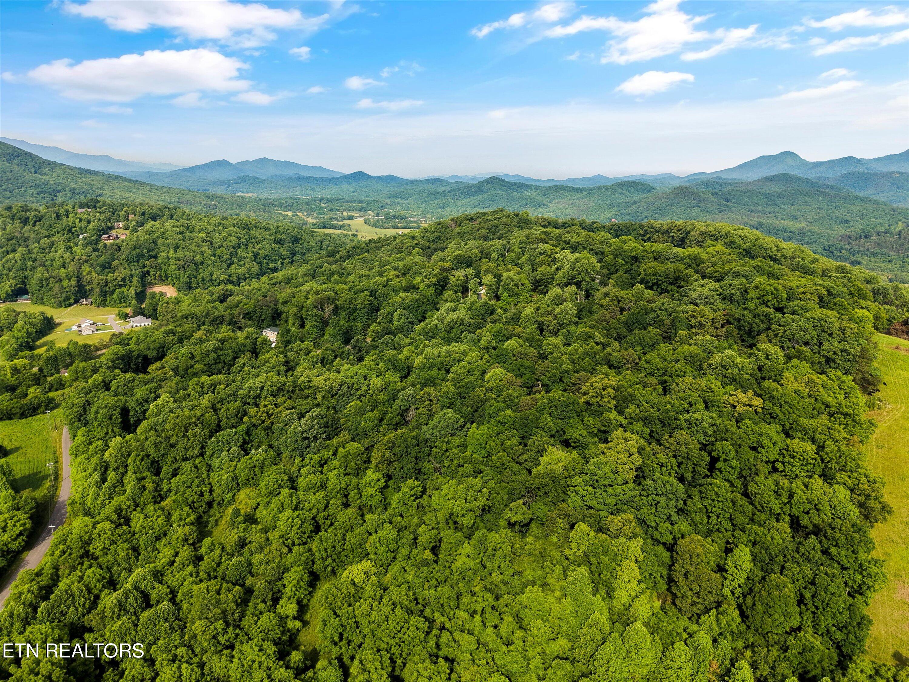 Country Mtn Road Cosby, TN 37722 - Photo 6 of 6 07-Country Mountain Rd 10