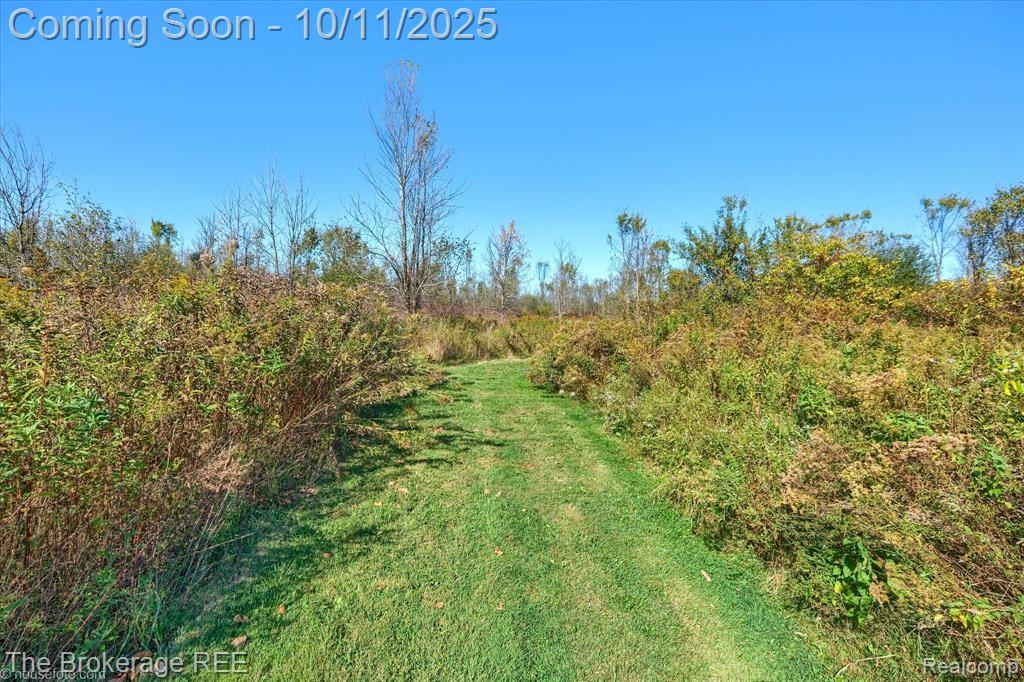 5234 Kelly Road Flint, MI 48504 - Photo 13 of 73