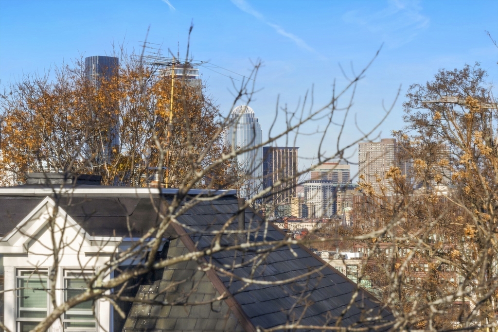 17 Akron Street, Unit 2 Boston, MA 02119 - Photo 25 of 25