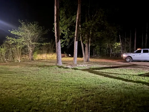 a view of outdoor space with garden