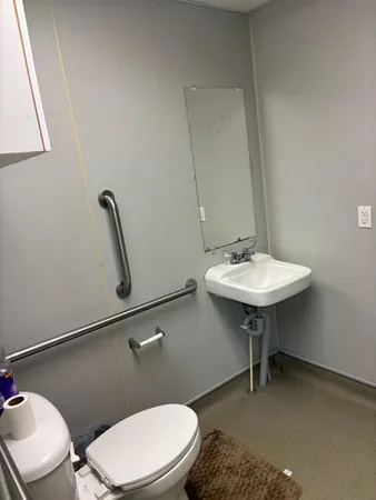 a bathroom with a sink a toilet and mirror