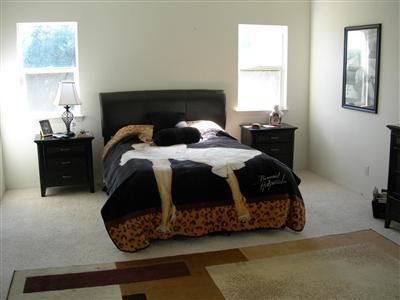 9425 Kings River Road Reedley, CA 93654 - Photo 17 of 42 Gallery Image 17