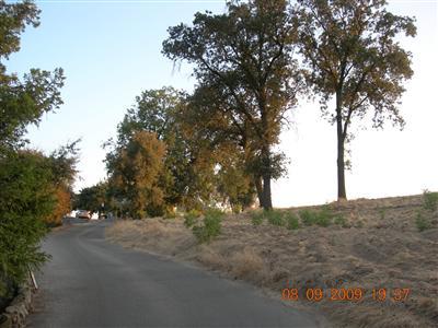 9425 Kings River Road Reedley, CA 93654 - Photo 25 of 42 Gallery Image 25