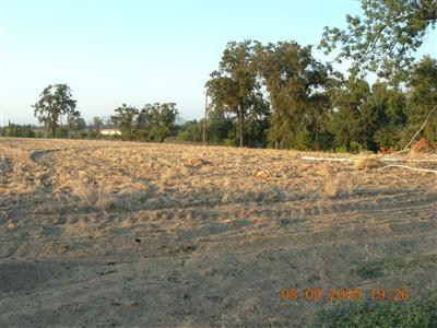 9425 Kings River Road Reedley, CA 93654 - Photo 29 of 42 Gallery Image 29
