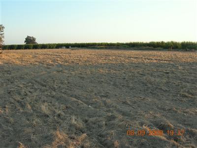 9425 Kings River Road Reedley, CA 93654 - Photo 30 of 42 Gallery Image 30