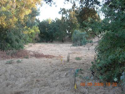 9425 Kings River Road Reedley, CA 93654 - Photo 34 of 42 Gallery Image 34