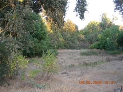 9425 Kings River Road Reedley, CA 93654 - Photo 35 of 42 Gallery Image 35