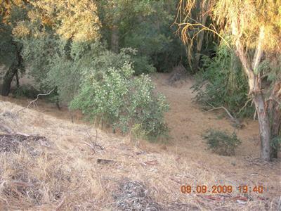 9425 Kings River Road Reedley, CA 93654 - Photo 36 of 42 Gallery Image 36