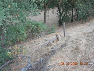9425 Kings River Road Reedley, CA 93654 - Photo 37 of 42 Gallery Image 37