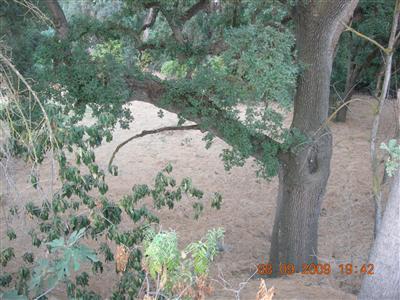 9425 Kings River Road Reedley, CA 93654 - Photo 38 of 42 Gallery Image 38