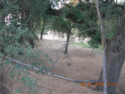 9425 Kings River Road Reedley, CA 93654 - Photo 39 of 42 Gallery Image 39