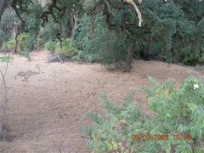 9425 Kings River Road Reedley, CA 93654 - Photo 40 of 42 Gallery Image 40