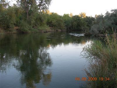 9425 Kings River Road Reedley, CA 93654 - Photo 42 of 42 Gallery Image 42