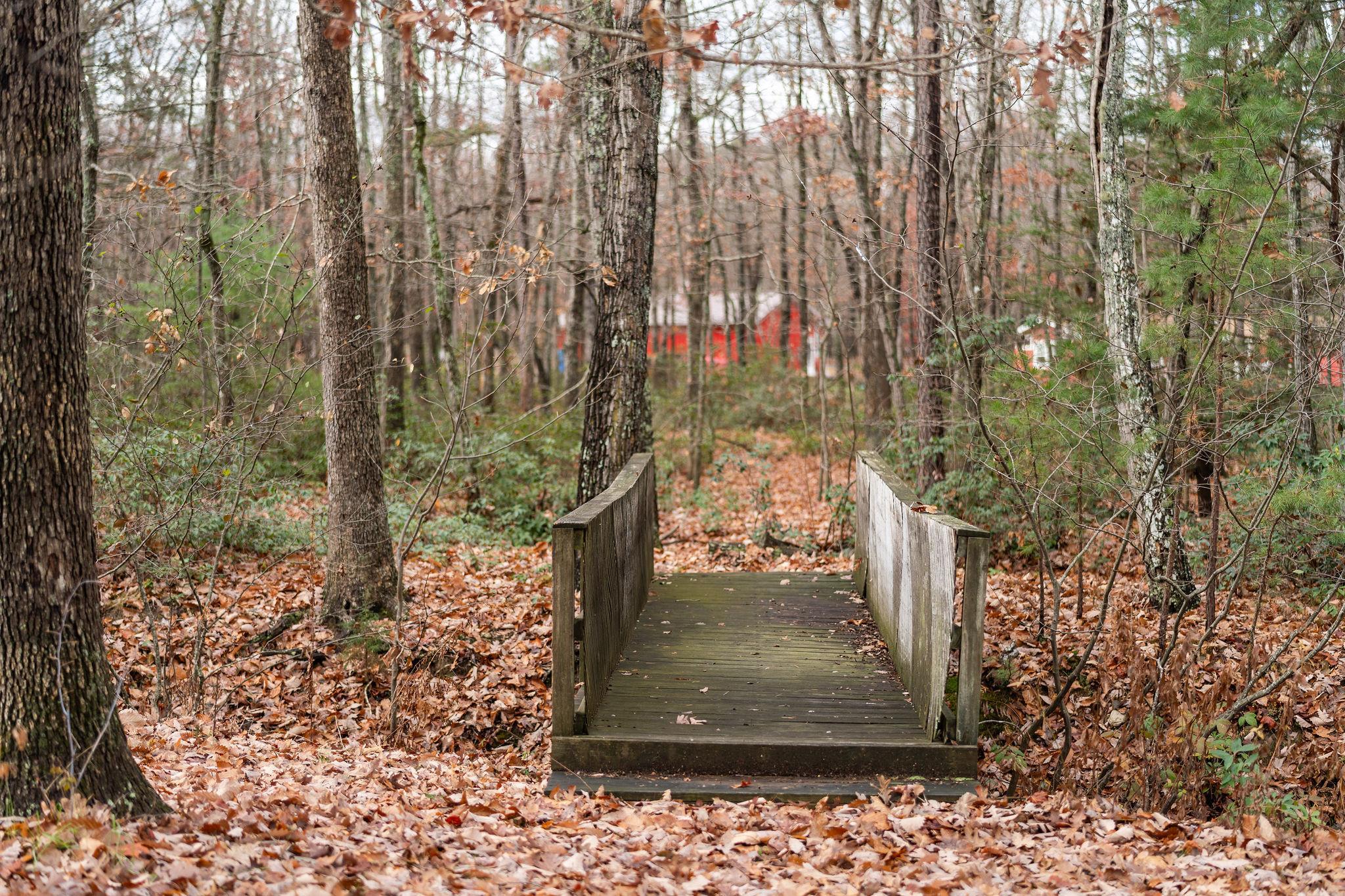 147 Rutherford Lane Stuarts Draft, VA 24477 - Photo 51 of 75 Gallery Image 51