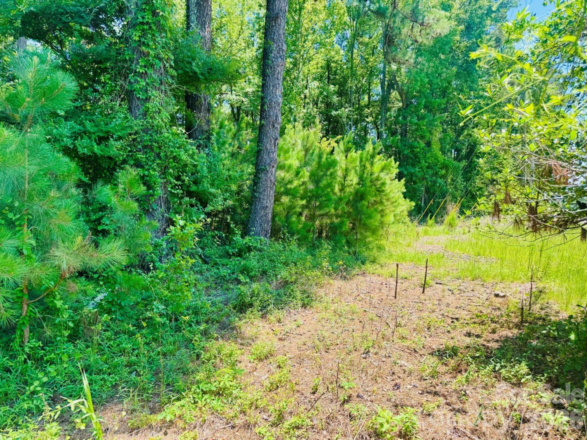 5326 Judson Road Clio, SC 29525 - Photo 27 of 29