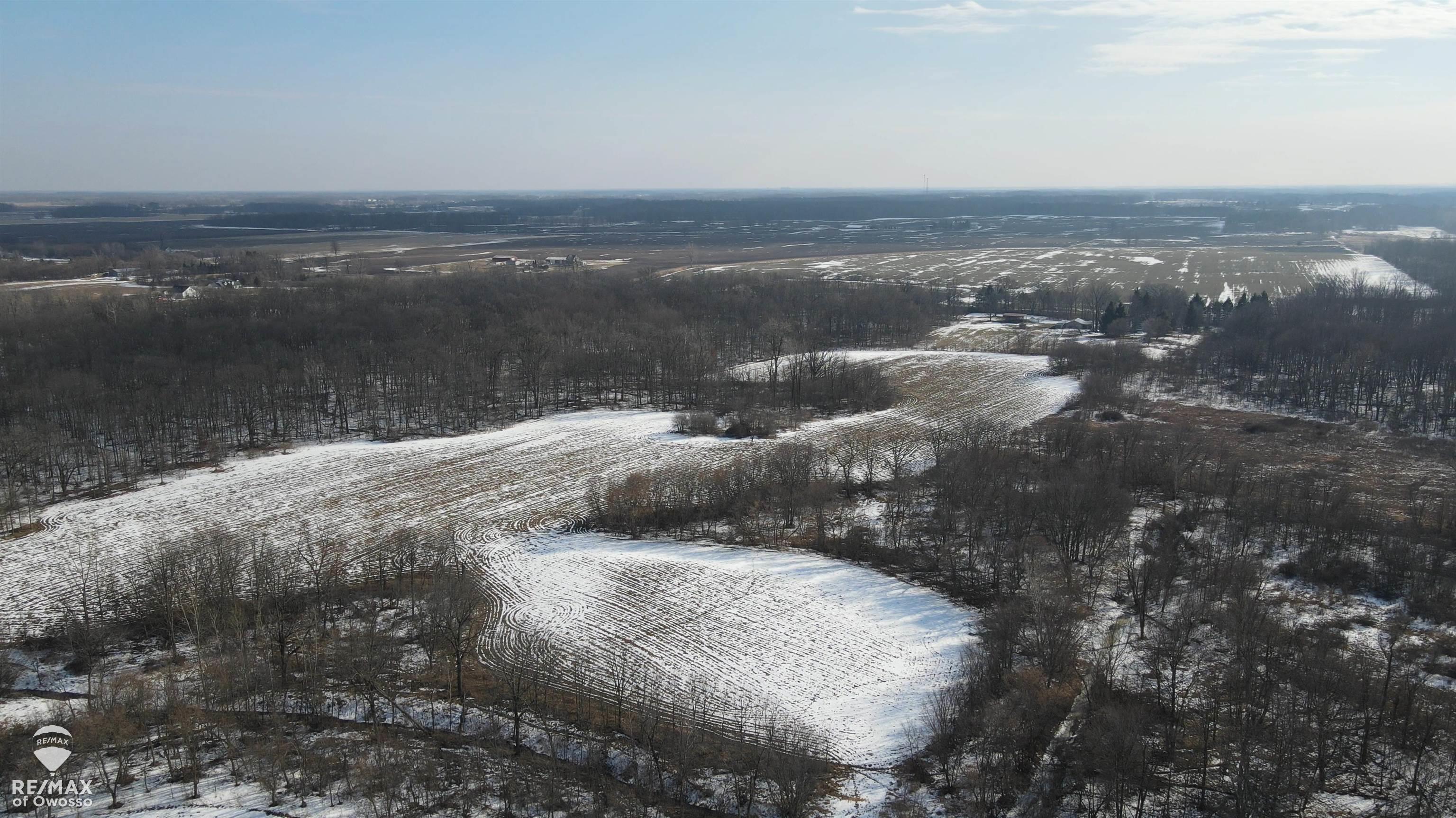 Lovejoy Road Perry, MI 48872 - Photo 5 of 7