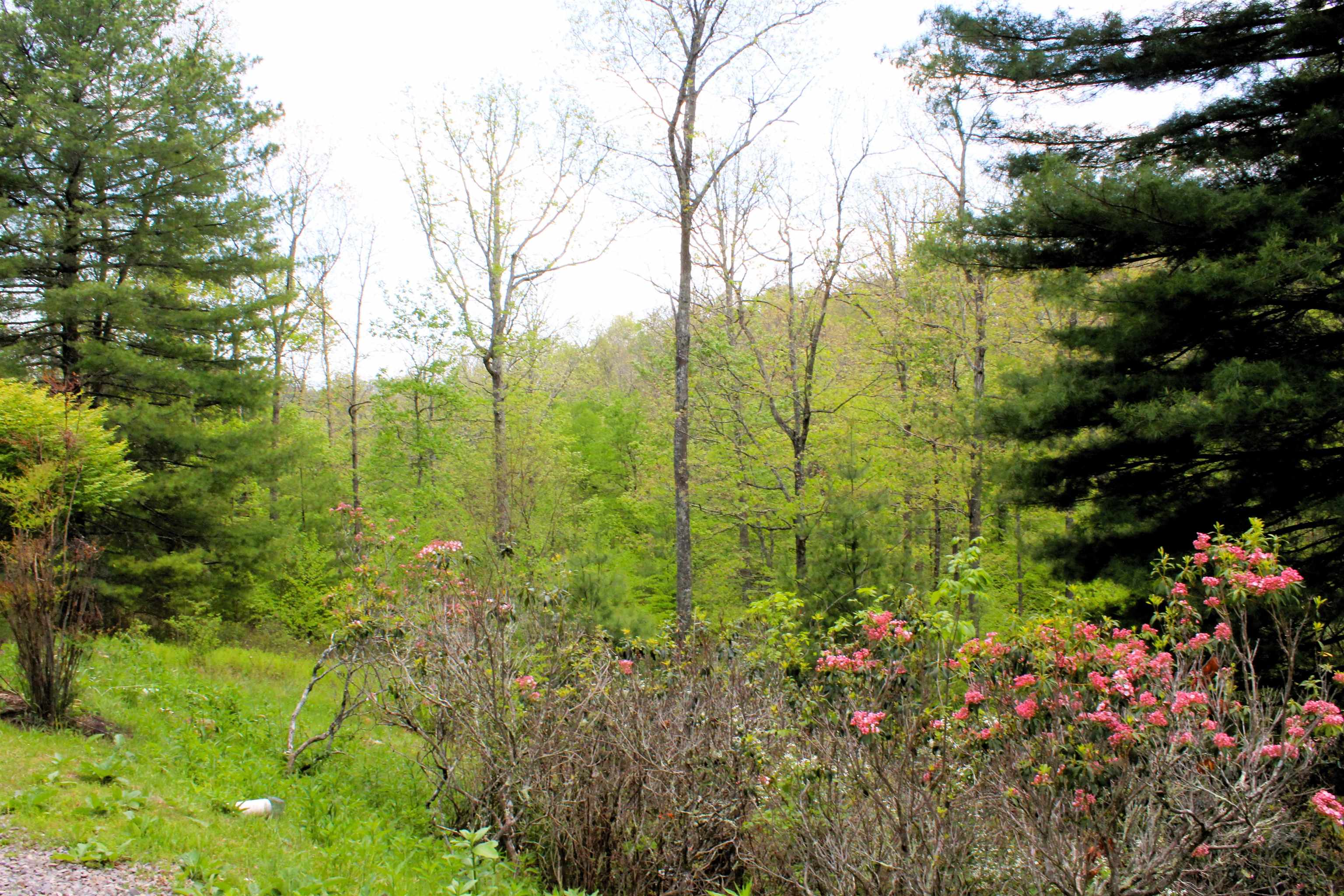 625 Hummingbird Lane Monterey, VA 24465 - Photo 54 of 65 a view of lake view
